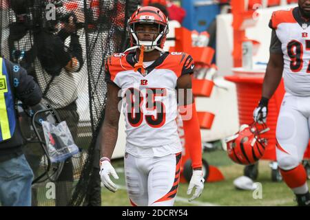 Cincinnati Bengals wide receiver Tee Higgins (85) runs up the field during  an NFL football game against the Cleveland Browns, Monday, Oct. 31, 2022,  in Cleveland. (AP Photo/Kirk Irwin Stock Photo - Alamy