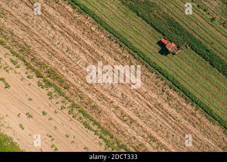 Aerial view of agricultural tractor harvesting alfalfa crops, top view from drone pov Stock Photo