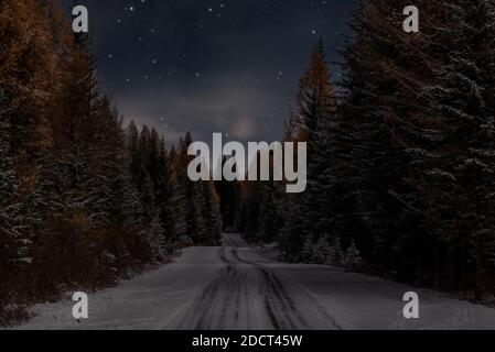 Scenic night landscape with a snowy road through the autumn forest with tall fir trees and yellow larch trees in the moonlight against the background Stock Photo