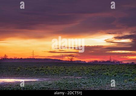 Dramatic colorful sky, before sunset, colorful  clouds formations. Stock Photo