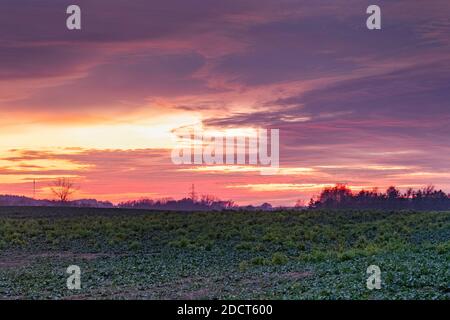 Dramatic colorful sky, before sunset, colorful  clouds formations. Stock Photo