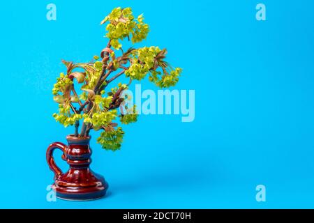 Twig of a blossoming tree in a vase on a blue background. Easter decoration Stock Photo
