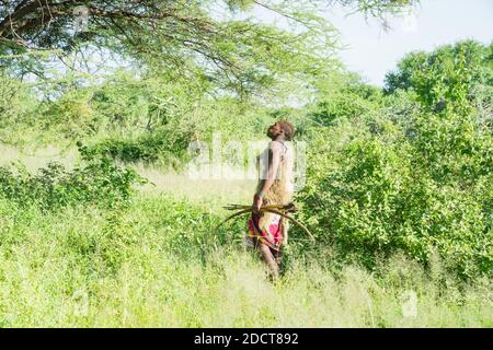 Hadzabe hunter hunts in the bush near his village Stock Photo