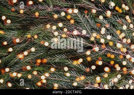 Christmas background with fir branches and blurred lights. Stock Photo
