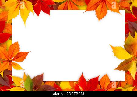 Blank card surrounded by colorful autumn leaves. Stock Photo