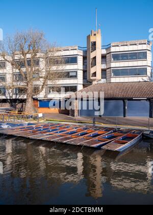 Punts moored on the River Cam by Mill Lane in front of the Cambridge University Centre buildings UK Stock Photo