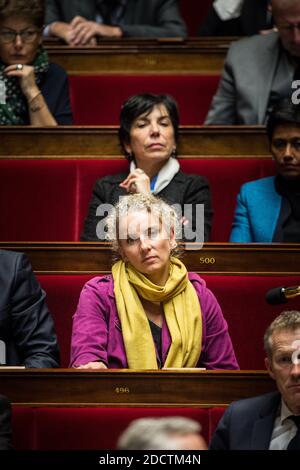 French socialist deputy Delphine Batho during a session of questions to the Government at the National Assembly in Paris, France, on January 16, 2018 . Photo by Eliot Blondet/ABACAPRESS.COM Stock Photo