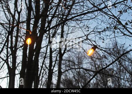 Hanging bulbs lights fairy lights on string/wire in trees/woods at dusk in Manchester, England Stock Photo