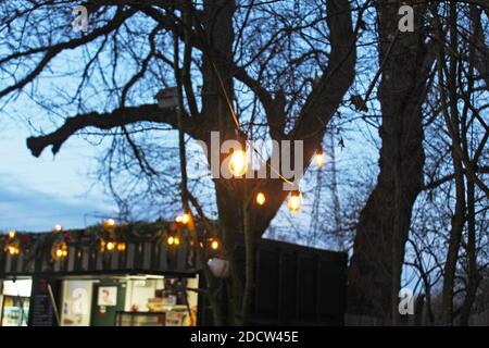 String of glowing hanging lightbulbs fairy lights in trees/woods at dusk in Manchester, England Stock Photo