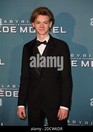 Actor Thomas Brodie Sangster attends the Maze Runner The Death