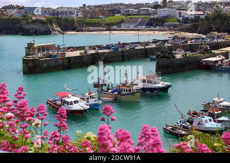 Fishing boats in Newquay harbour, Cornwall UK Stock Photo
