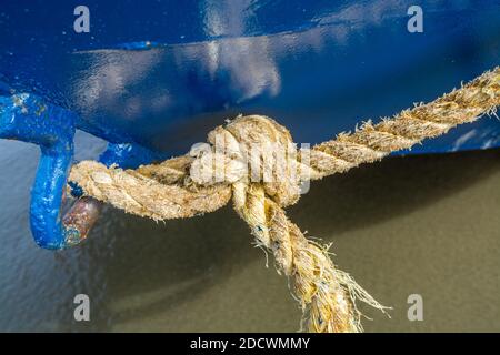 Rope Knots and Buoys Hanging from Blue Wooden Doors · Free Stock Photo