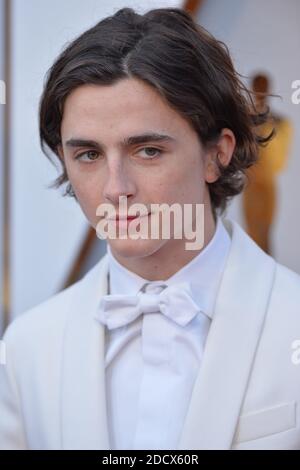 Timothee Chalamet arriving to the 90th annual Academy Awards (Oscars ...