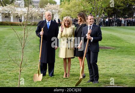 The tree planted by Donald Trump and his French counterpart, Emmanuel Macron, at the White House as a symbol of their countries’ ties has died.- - U.S President Donald Trump and First Lady Melania Trump join French President Emmanuel Macron and his wife Brigitte Macron to plant on the South Lawn of the White House a tree that the Macrons provided as a gift, a European Sessile Oak April 23, 2018 in Washington D.C . Photo by Olivier Douliery/Abaca Press Stock Photo