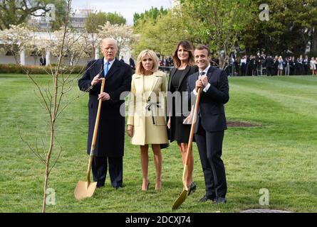 The tree planted by Donald Trump and his French counterpart, Emmanuel Macron, at the White House as a symbol of their countries’ ties has died.- - U.S President Donald Trump and First Lady Melania Trump join French President Emmanuel Macron and his wife Brigitte Macron to plant on the South Lawn of the White House a tree that the Macrons provided as a gift, a European Sessile Oak April 23, 2018 in Washington D.C . Photo by Olivier Douliery/ABACAPPRESS.COM Stock Photo