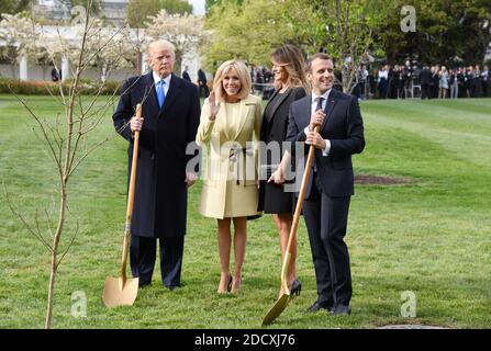 The tree planted by Donald Trump and his French counterpart, Emmanuel Macron, at the White House as a symbol of their countries’ ties has died.- - U.S President Donald Trump and First Lady Melania Trump join French President Emmanuel Macron and his wife Brigitte Macron to plant on the South Lawn of the White House a tree that the Macrons provided as a gift, a European Sessile Oak April 23, 2018 in Washington D.C . Photo by Olivier Douliery/ABACAPPRESS.COM Stock Photo
