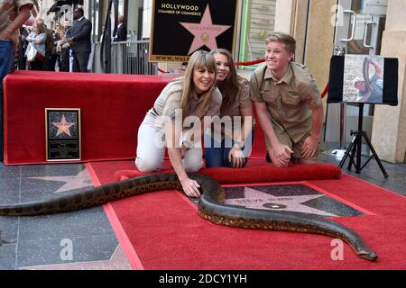 Bindi Irwin, Terri Irwin and Robert Irwin attend Steve Irwin's ...