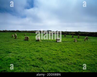 Looking S at the Merry Maidens stone circle, Boleigh, Cornwall: a perfect circle 78ft (23.8m) across of 19 stones, evenly spaced at 12ft (3.7m) apart. Stock Photo