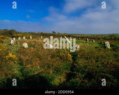 View SE of Boscawen-Un stone circle, West Penwith, Cornwall, England, UK: an oval of 19 regularly spaced stones with an (entrance?) gap on W. Stock Photo