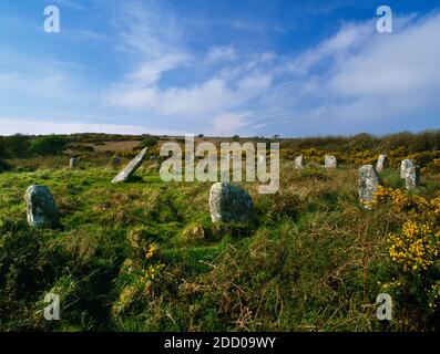 View NNW of the central & E parts of Boscawen-Un stone circle, St Buryan, Cornwall: an oval of 19 regularly spaced stones with an (entrance?) gap on W Stock Photo