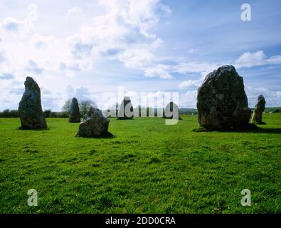View WNW of Duloe stone circle, Cornwall, England, UK, the smallest in Cornwall. Eight irregularly-shaped quartz stones (7 standing) form an oval. Stock Photo