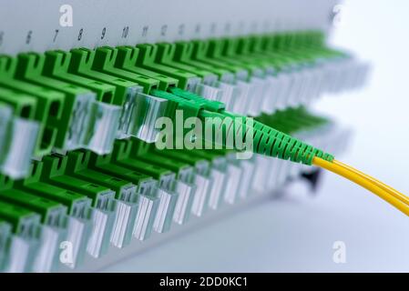 Optical distribution frame with connected patch cord close-up Stock Photo