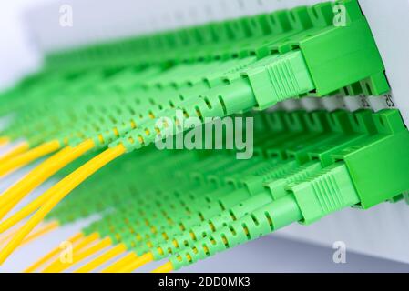 Optical Equipment Distribution Panel with Patch Cord Stock Photo