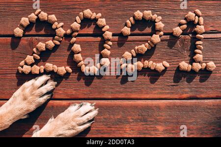 The inscription 2021 is laid out with dog dry food on a brown wooden background and red paws of a German shepherd. Original creative Christmas layout Stock Photo