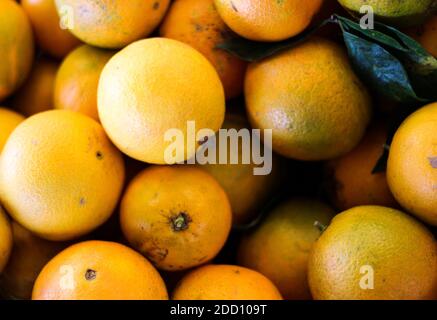 Oranges on display for sale Stock Photo
