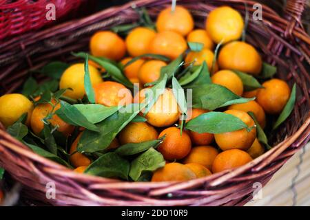 Tangerines/Oranges in basket Stock Photo
