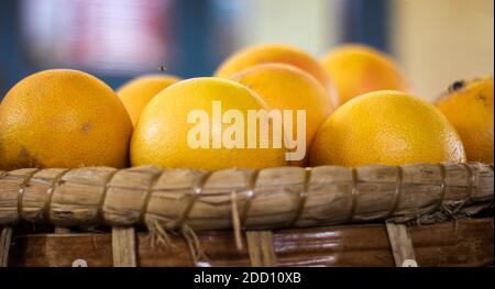 Grapefruits in a bag Stock Photo