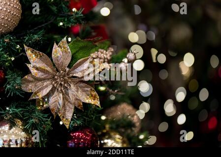 Beautiful Decorative Flower With Christmas Lights Background Stock Photo