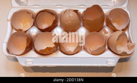 Cracked Eggs Broken Eggshells in Box Package Stock Photo