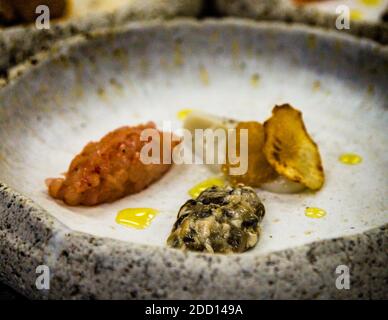 Red prawn tartare and oysters with Jerusalem artichoke cream lie on a stoneware plate at the restaurant of the Hotel Alàbriga in Sant Feliu de Guíxols, Spain. The red prawns are a regional speciality traded daily at the fish auction in Palamós. Stock Photo