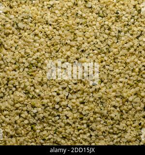 Hulled hemp seeds. Square shaped background and surface of raw and edible hempseeds.  Cannabis sativa, high in protein and a great source of iron. Stock Photo