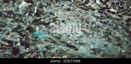 Lots of broken glass bottles on dump. Close-up. Waste sorting station. Stock Photo