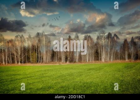 DE - BAVARIA: In the Moisach Moor at Bichl Stock Photo