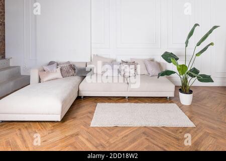 Modern luxury stylish apartment interior in pastel colors. a very bright room ,white walls, wooden parquet floors.beige textile couch. house plant in Stock Photo