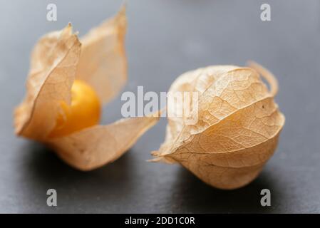 Physalis fruits with open and closed calyx.