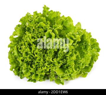Butterhead lettuce isolated on white background Stock Photo