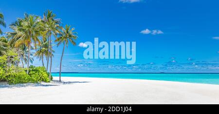 Amazing travel landscape, tropical beach scene, stunning blue sea, palm tree, white sand. Exotic luxury travel vacation destination, relax view. Stock Photo