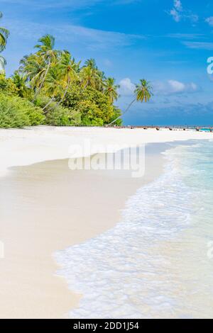 Amazing travel landscape, tropical beach scene, stunning blue sea, palm tree, white sand. Exotic luxury travel vacation destination, relax view. Stock Photo