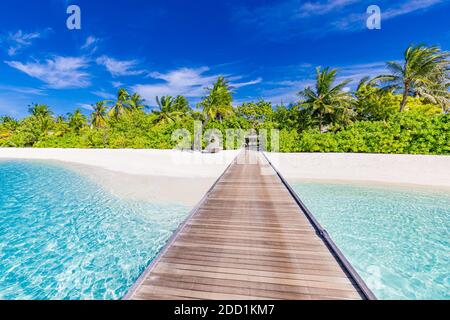 Maldives island perfect beach, long wooden jetty into beautiful paradise tropical landscape. Exotic nature, luxury summer travel vacation destination Stock Photo