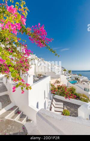 Oia town on Santorini island, Greece. Traditional famous white blue houses with flowers under sunny weather caldera, Aegean sea. Beautiful summer view Stock Photo