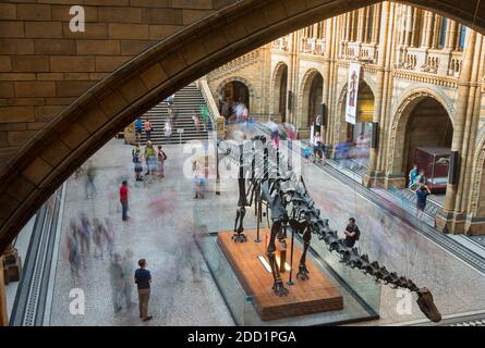Tourists explore the British Museum of Natural History in London, England. Stock Photo