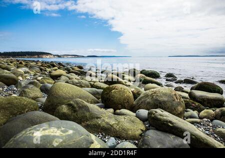 A low angle view from down on the rocks at low tide on Ebeys Landing beach on the shores of the Salish sea, Puget Sound, Washington, USA. Stock Photo