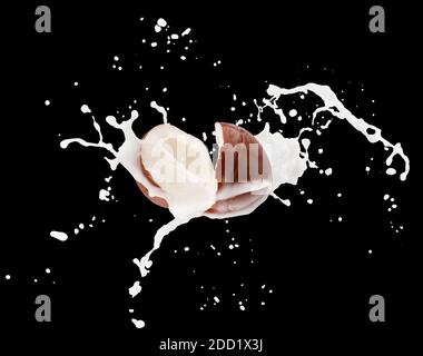 coconuts with milk splash on a black background. Stock Photo