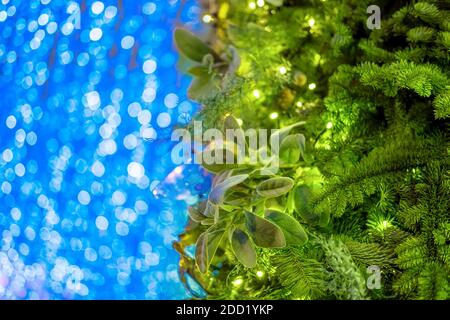 Green Christmas tree and bokeh background of garland blue lights, copy space Stock Photo