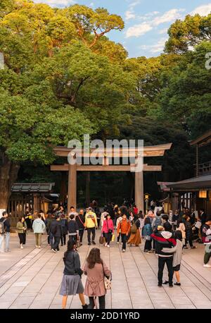 shibuya, japan - november 02 2019: Crowd of tourists passing trough the wooden Higashi-Tamagaki-Torii sacred gate adorned with golden imperial coat of