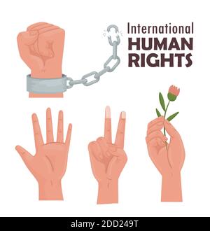 international human rights lettering poster with hands Stock Vector